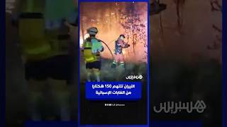 النيران تلتهم 150 هكتارا من الغطاء الغابوي في شرق إسبانيا thumbnail