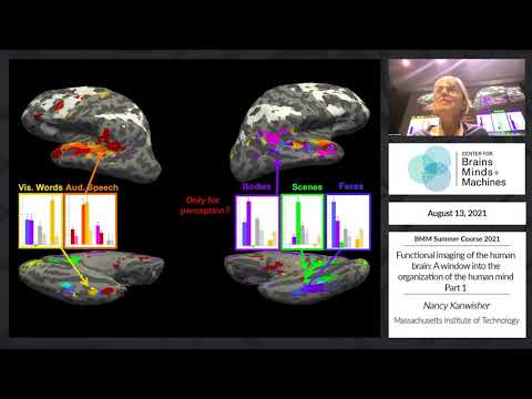 Functional imaging of the human brain: A window into the organization of the human mind - Part 1
