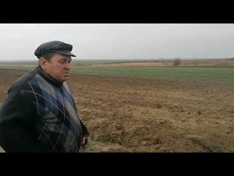 Schelete descoperite pe un câmp din Olt