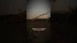 Download lagu Welcome to my paradise mp3 Download lagu Welcome to my paradise mp3