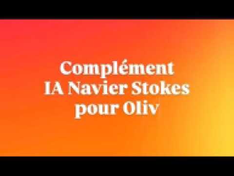 Complément IA Navier Stokes IA 