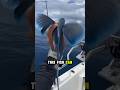This Fish Can Actually Fly!