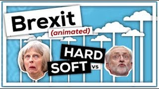 General Election Brexit Hard vs Soft -MIRROR-