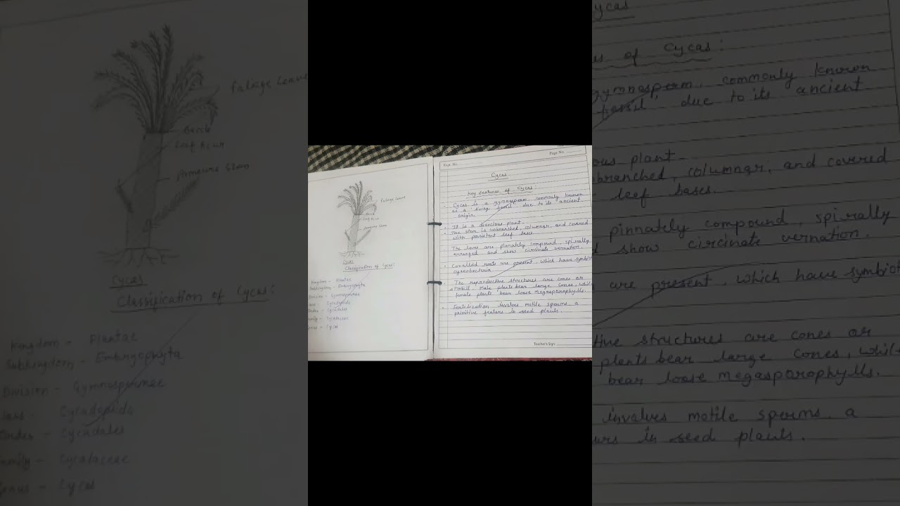 Botany 2nd semester practical file complete all practicals pdf in description