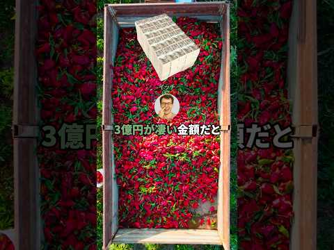 3億円が凄い金額だと一番思わせたやつ優勝