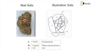 Soil as Three Phase System in Various Terms - Introduction to Geotechnical Engineering