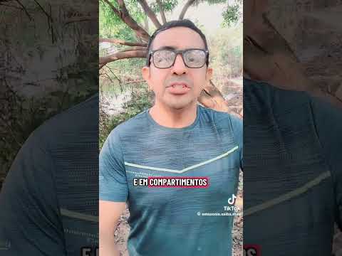 Piratas assaltam ferry boat no trajeto Japurá/Manaus #noticias