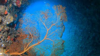 聖堂x明隧道東 2023 六月 龍洞