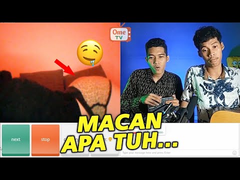 ketemu-macan-ome-tv-internasional