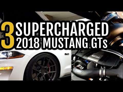 THREE 2018 Supercharged Mustang GTs on the DYNO! Vortech | Procharger | 93 | E85