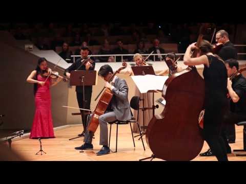 Brendan Goh / Haydn C Major Cello Concerto: Moderato