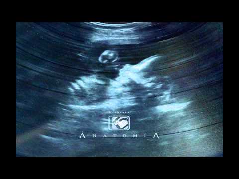 Subbassa instrumental - K2 - Nagi instynkt [ Anatomia LP ]