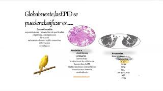 Enfermedades Pulmonares Parenquimatosas Difusas. Dra Kierszenbaum.