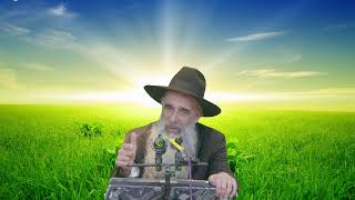שיחתו של מו"ר ראש הישיבה הרב מאיר דוד שמואלי שליט"א בנושא : ואע"פ שיתמהמה אם כל זה אחכה לו!