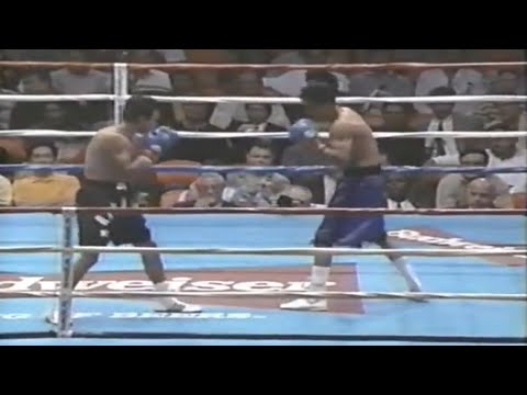 WOW!! WHAT A FIGHT - Juan Manuel Marquez vs Julio Sanchez Leon, Full HD Highlights