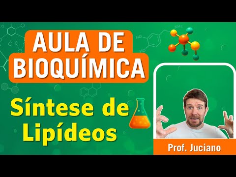 Lipid Synthesis - Lecture for Higher Education