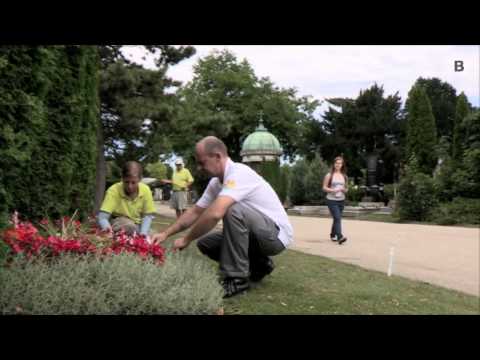 Der Wiener Zentralfriedhof