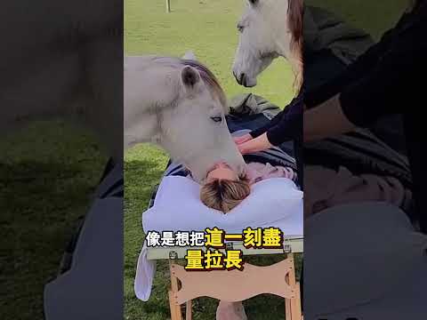 她最後的願望是和馬在一起，結果所有馬都來了