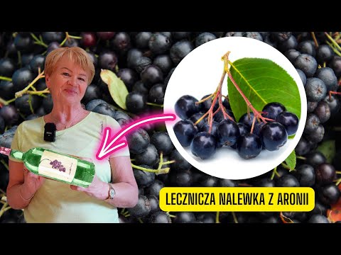 Lecznicza nalewka z aronii – przepis i dawkowanie (stosuj z rozwagą)