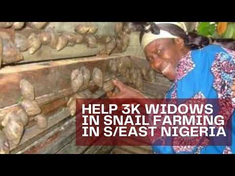 Train S/East Youth in Snail & Fish Farming Projec!
