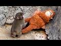 Punch Drops Mama And Leaves Her Until He Gets Scared