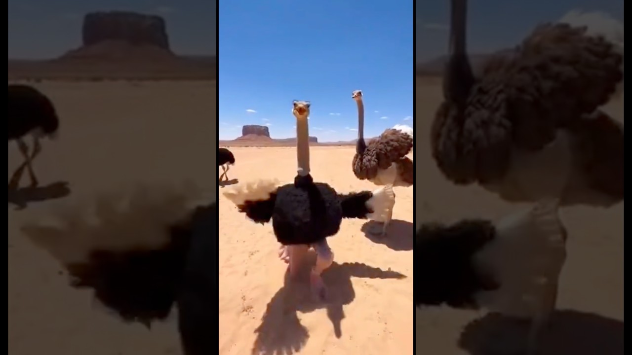 Ytshorts #animals #funny #anime #nature #new #shorts #viralshorts #freefire #foryou #duet #reels