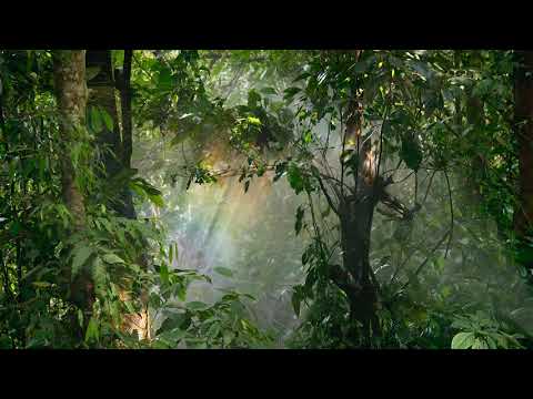 Joseph Goldstein – Insight Hour – Ep. 73 – Factors of Awakening: Equanimity