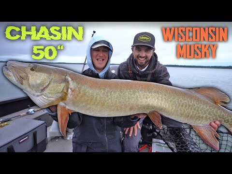 Early Fall Big Musky Fishing!! - Chasin 50 Series