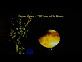 Nyman : Gattaca  -  XXIV. Irene and The Morrow
