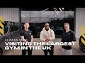 The Best Gym Equipment in the UK | Ulisses 🤝 Watson Gym equipment