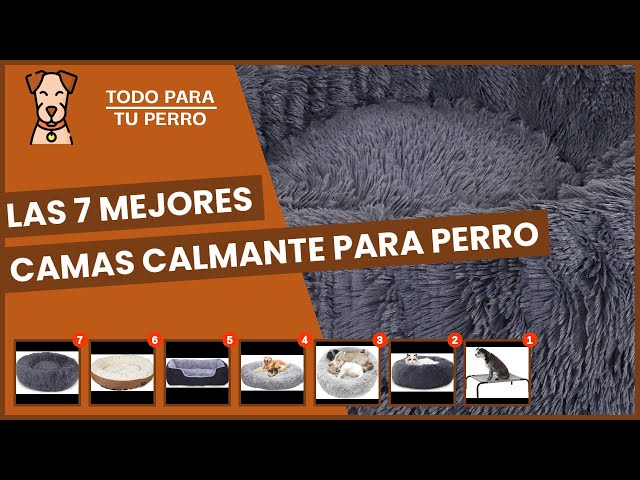 Vídeo relacionado con lionto Cama perros cojín perros cesta perros con cojín tamaño (S) 50x37 cm gris/negro