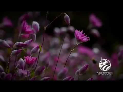 Te veré  - Julio Marquez