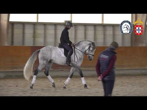 221130 1 Proj. Ensino APSL&FEP - David Amorim com Niquel