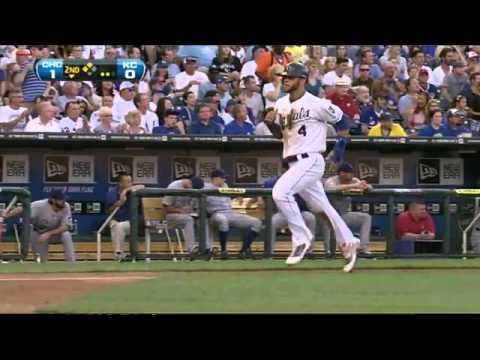 2011/06/24 Pena's sac fly