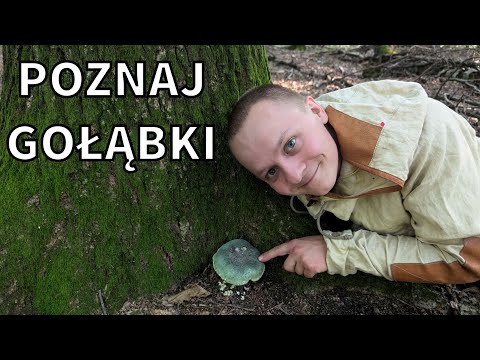 MUSHROOMS in SUMMER that EVERYONE is afraid to pick