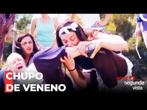 Saziment Chupa Incluso El Veneno De Serpiente - Amor A Segunda Vista