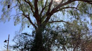 早期リタイアしないで。事業でもしながら愛国活動しよう！