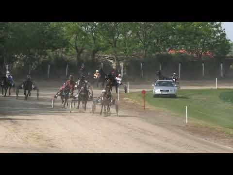 Trka "Dolovo u srcu-Dolovo" 8.5.2022. Pandora S - Vereb Andor