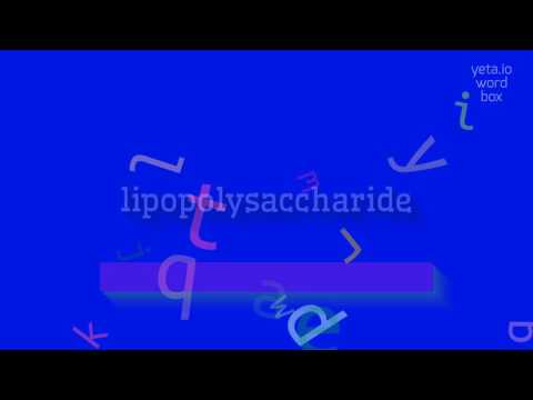 LIPOPOLYSACCHARIDE - HOW TO PRONOUNCE IT? #lipopolysaccharide