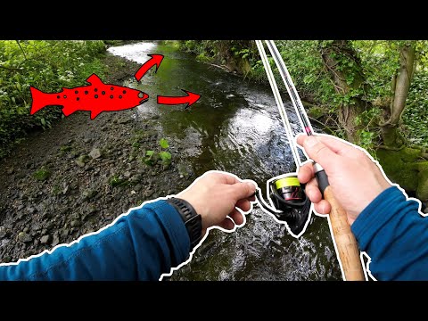 FISHING in PARADISE. Fantastic Trout fishing on lures in a tiny river!
