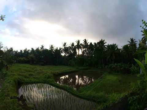 20230707 Sunrise from Villa Ganesha