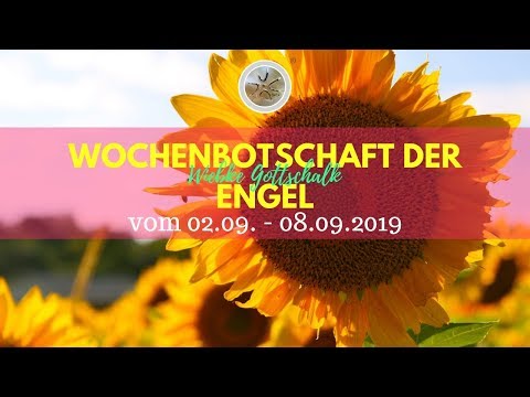 ✨ Wochenbotschaft der Engel vom 02.09. - 08.09.2019✨