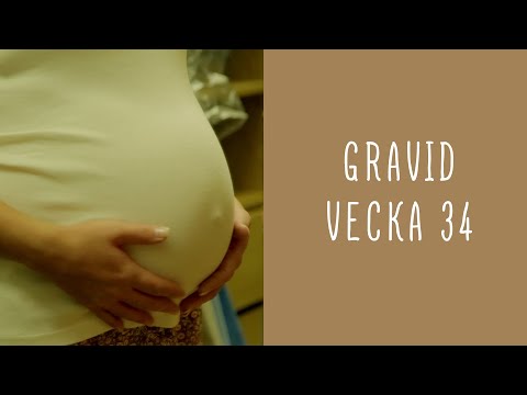 Gravid vecka 34