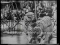 Moscow Circus Premieres In Cologne West Germany 1966 Archival Footage