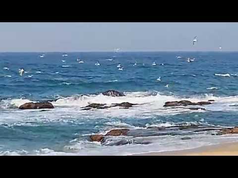 Desire - Deepak Chopra Feat. Demi Moore