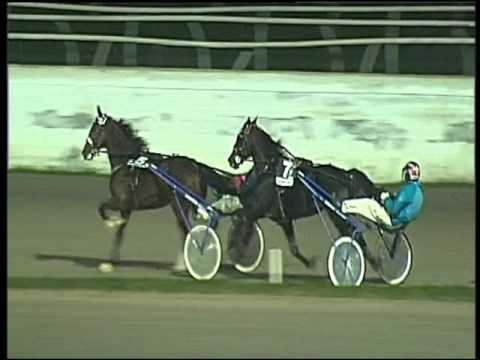 Trotto 26/11/2015 - 6° corsa