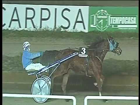 Trotto 16/01/2018 - 5ª corsa