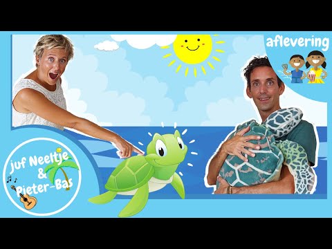 THEMA ZEE: SCHILDPAD  - kinderprogramma #28