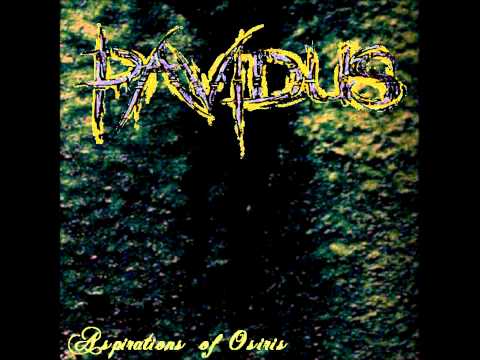 Pavidus - 04 - Condemned Innocence