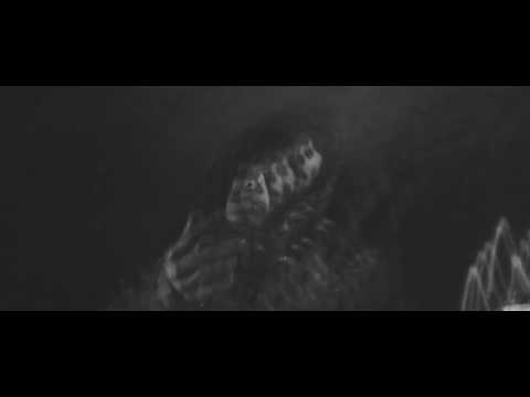 Prohibeo - Fuck Me Up (Prod. White Shinobi) Official Music Video